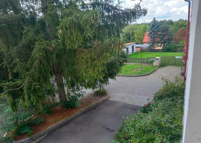 Hotel U Zeleného Stromu - Zum Grünen Baum